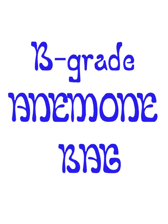 ANEMONE Bag B-grade
